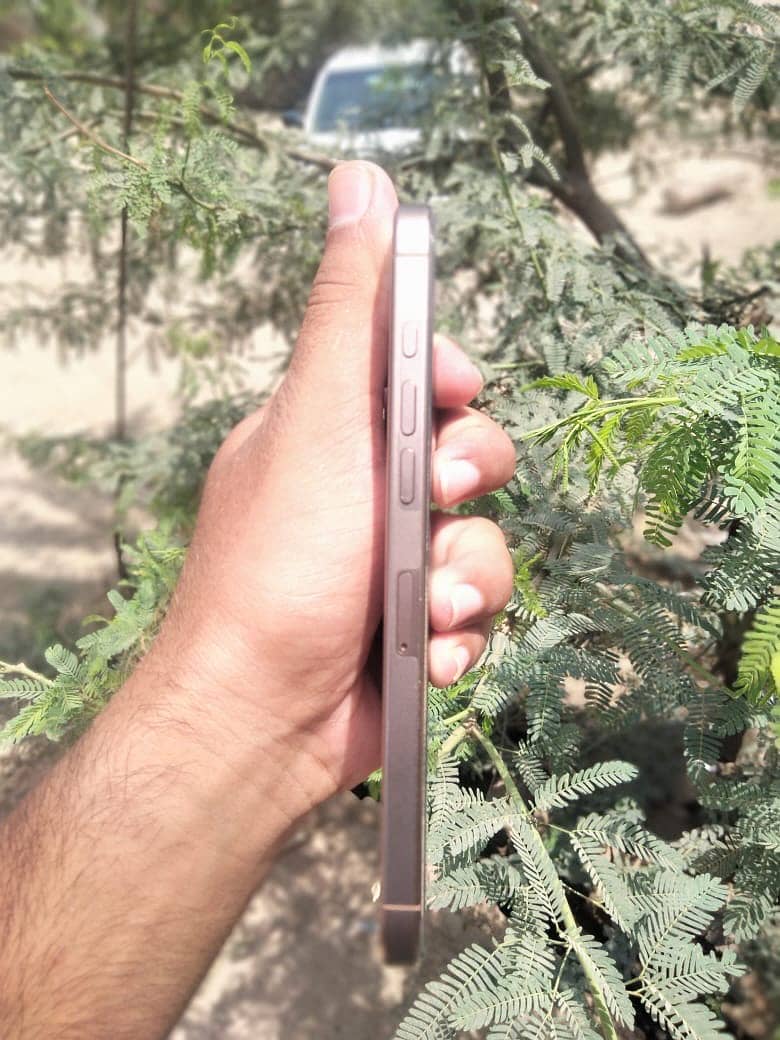 Apple iPhone 16 Pro Max 2