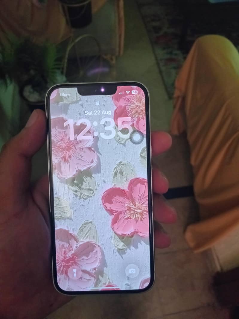 Apple iPhone 13 1