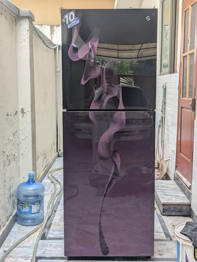 PEL Jumbo Glass Door Refrigerator