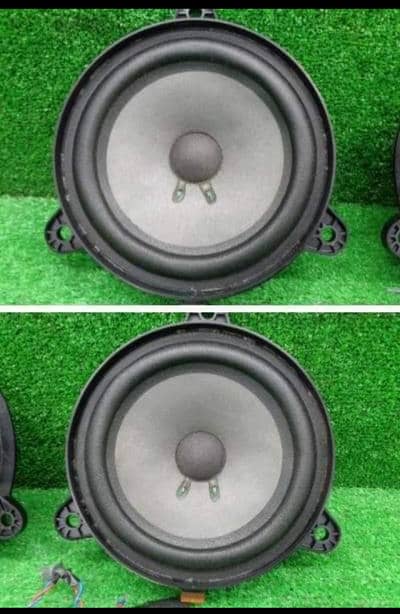 Bose 6.5 Door Speakers