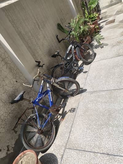 two kids cycles