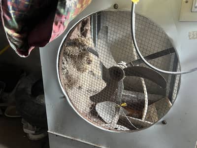 Air coolers