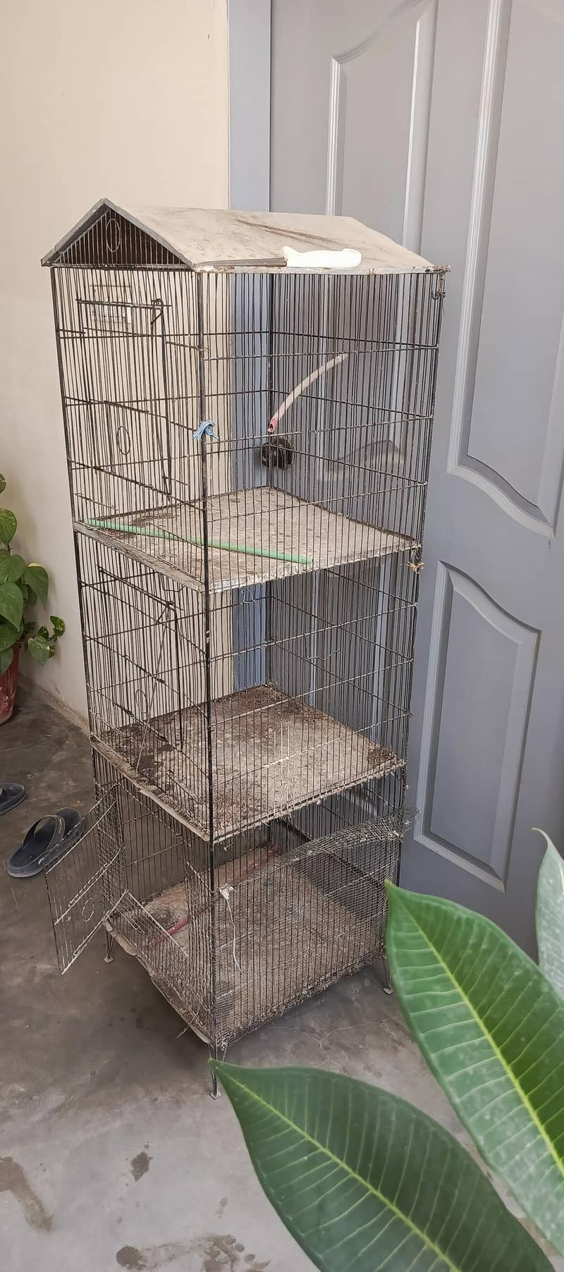 cage iron 2