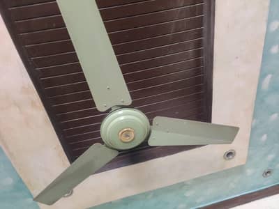 02 Ceiling Fans, Inayat Coy