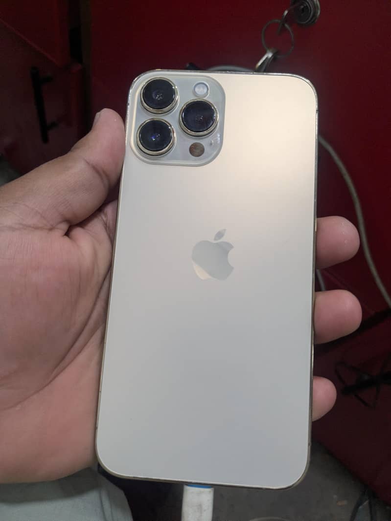 Apple iPhone 13 Pro Max 0