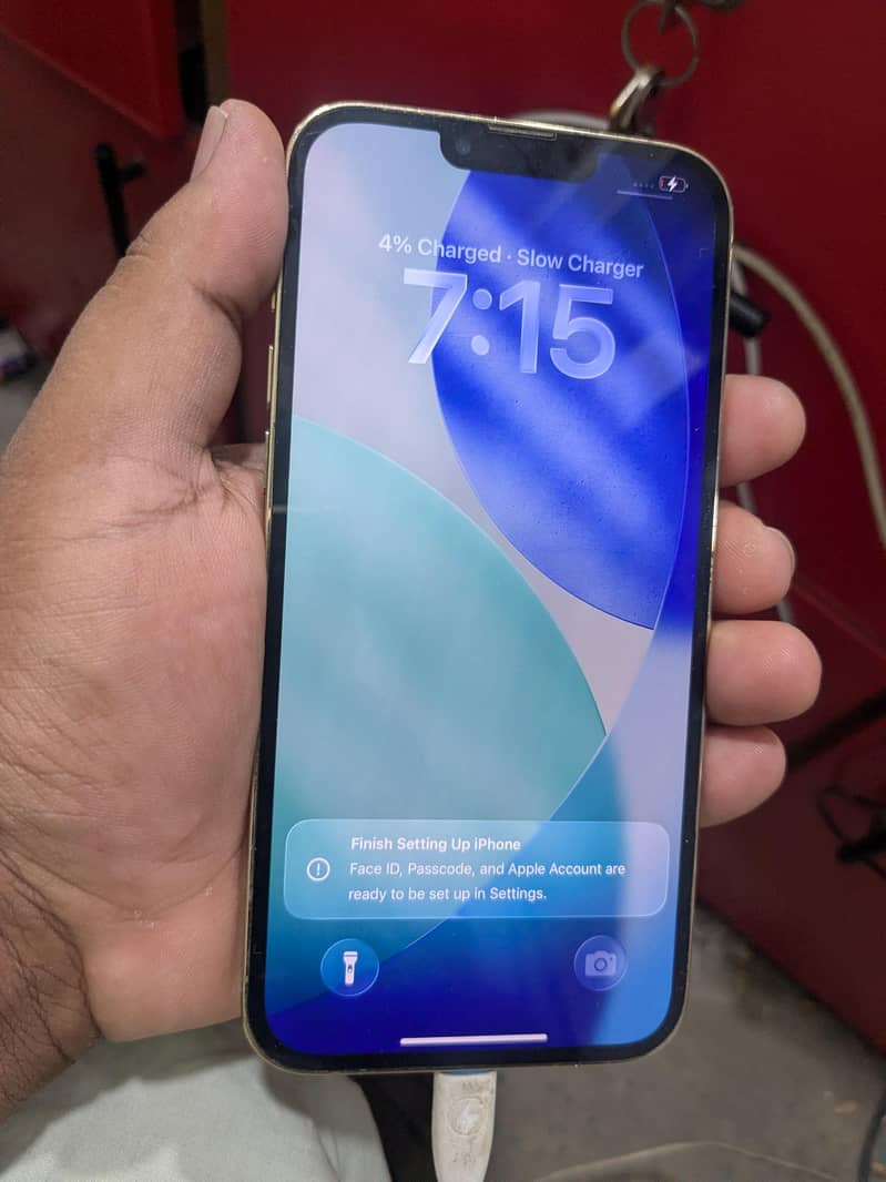 Apple iPhone 13 Pro Max 1