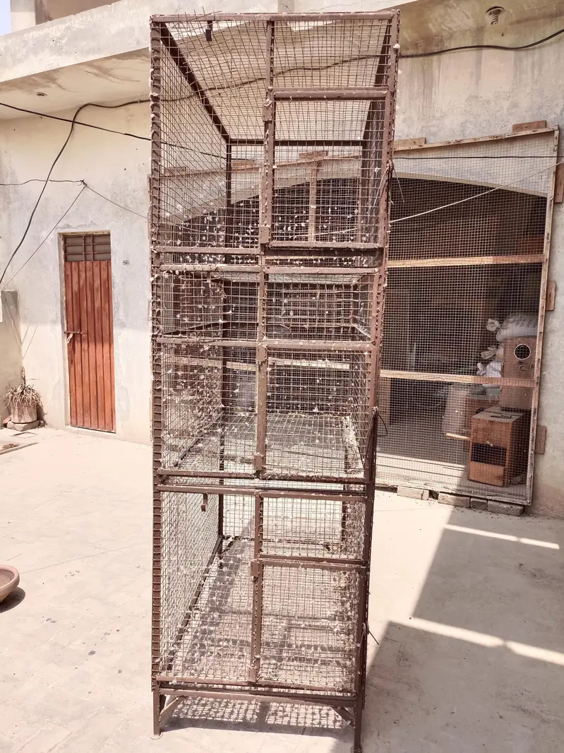 Parrots cage for sale condition 10/10 — photo 3