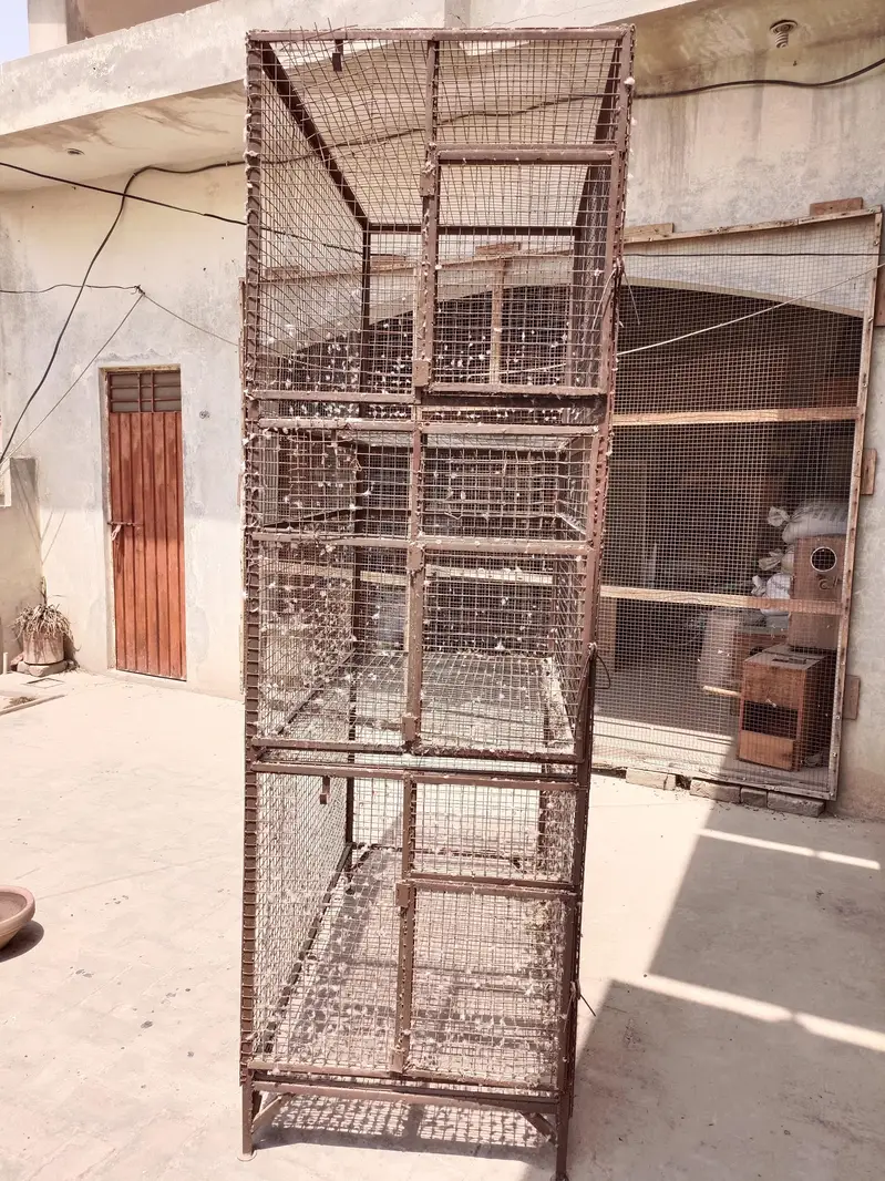 Parrots cage for sale condition 10/10 — photo 4