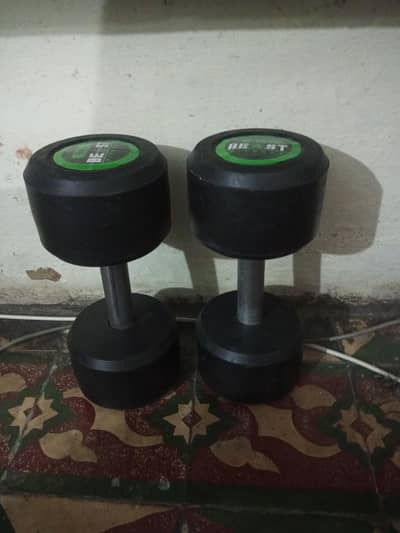 (Beast Fitness) 8kg Dumbbells Pair —