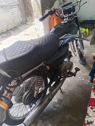 Model 2019 unique