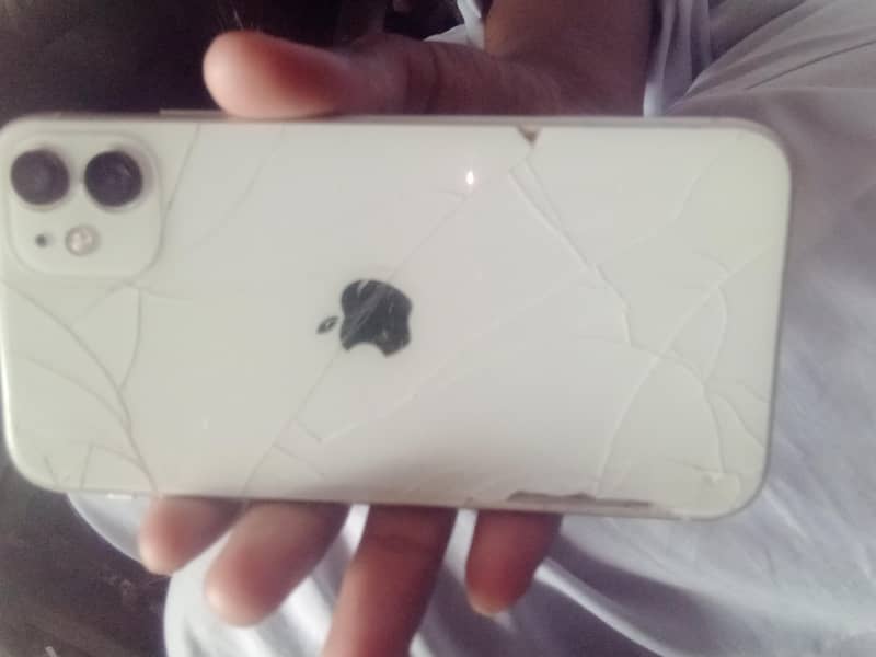 Apple iPhone 11 0