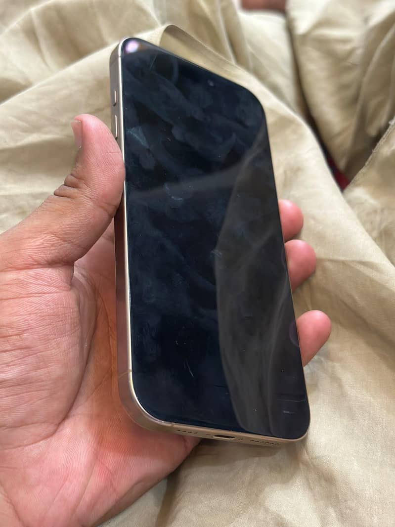 Apple iPhone 16 Pro Max 2