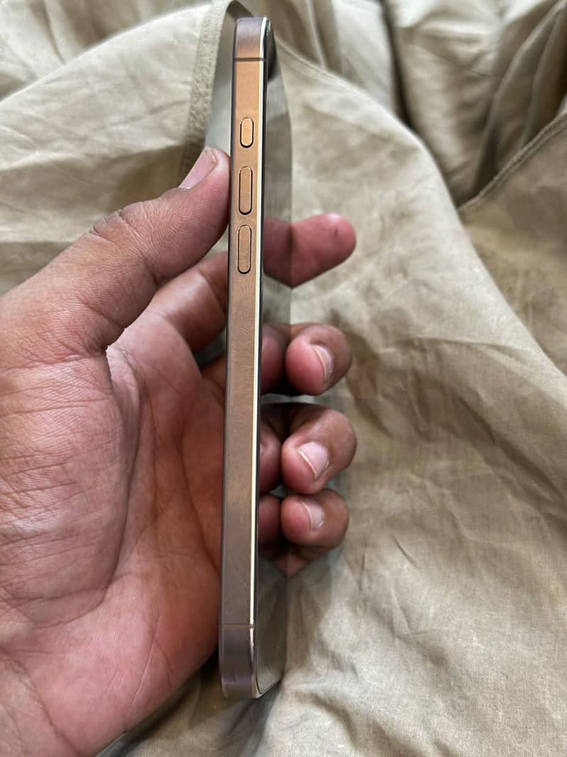 Apple iPhone 16 Pro Max 3