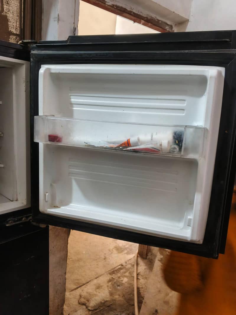 freezer pel 1