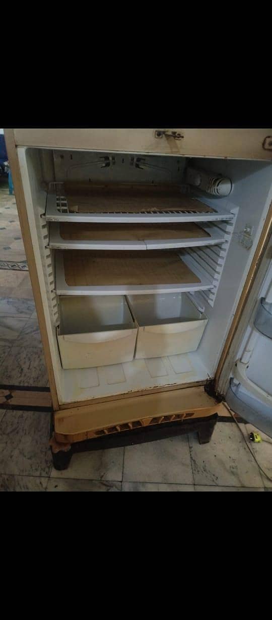 pel refrigerator 1