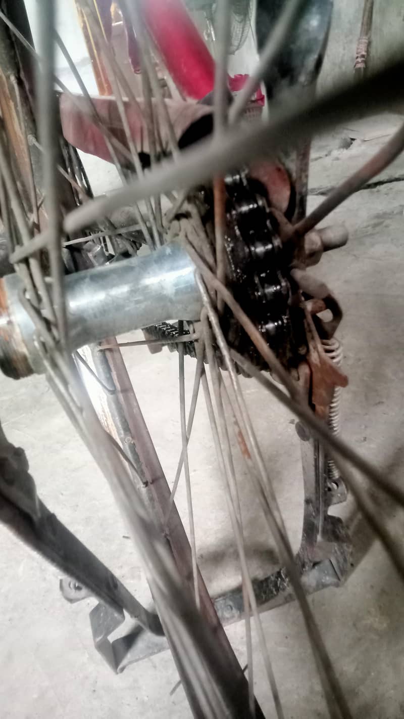 baba cycle 1