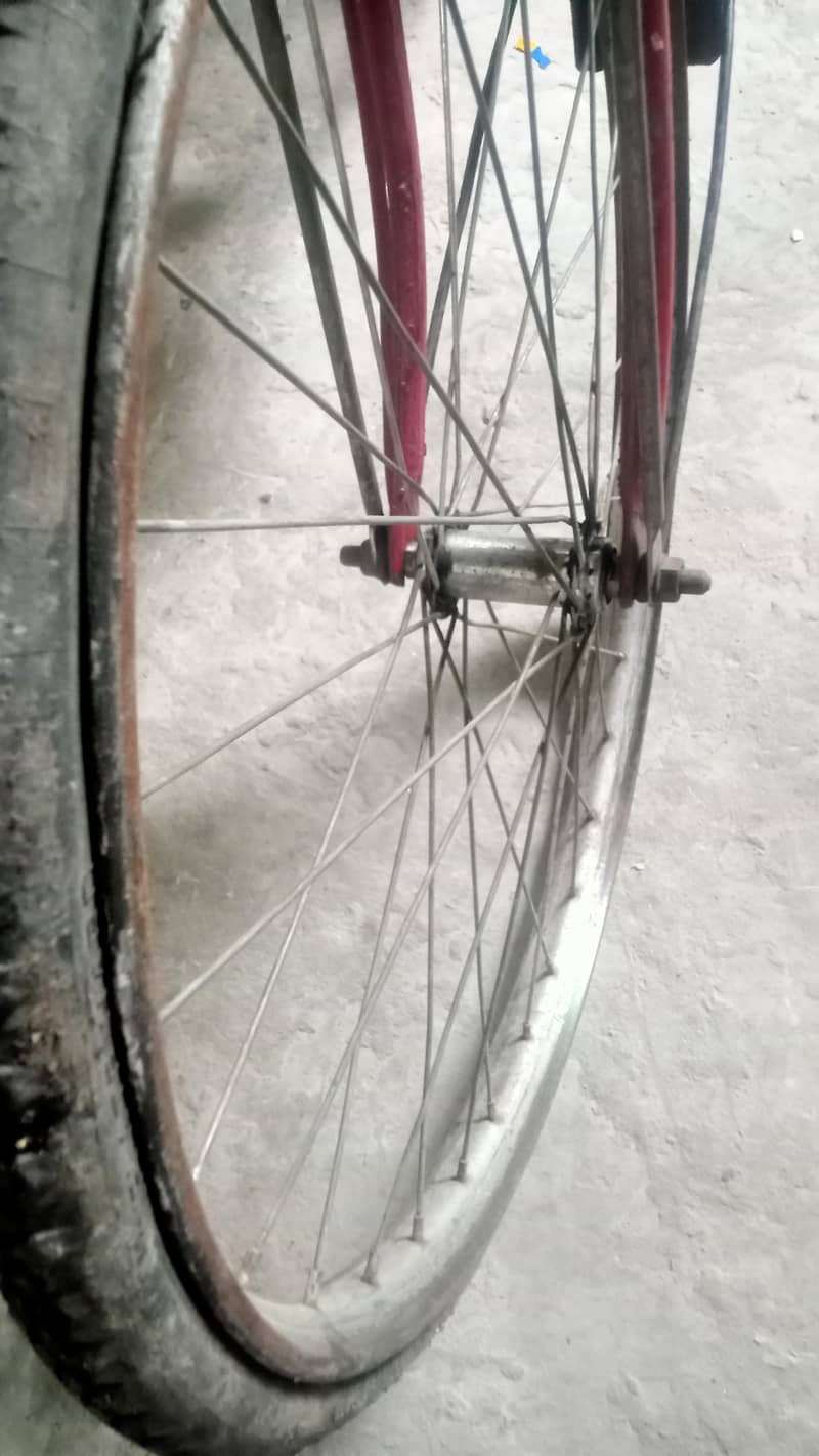 baba cycle 2