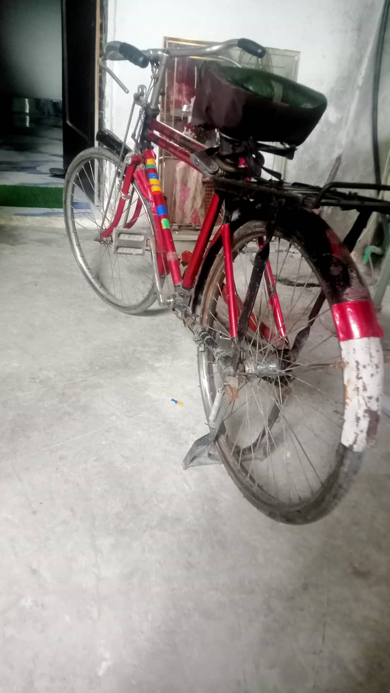 baba cycle 5