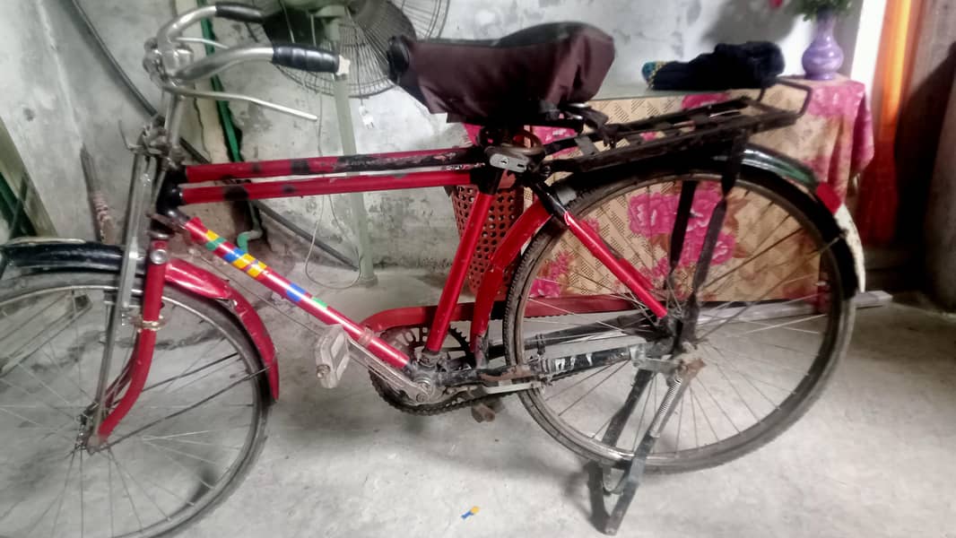baba cycle 6