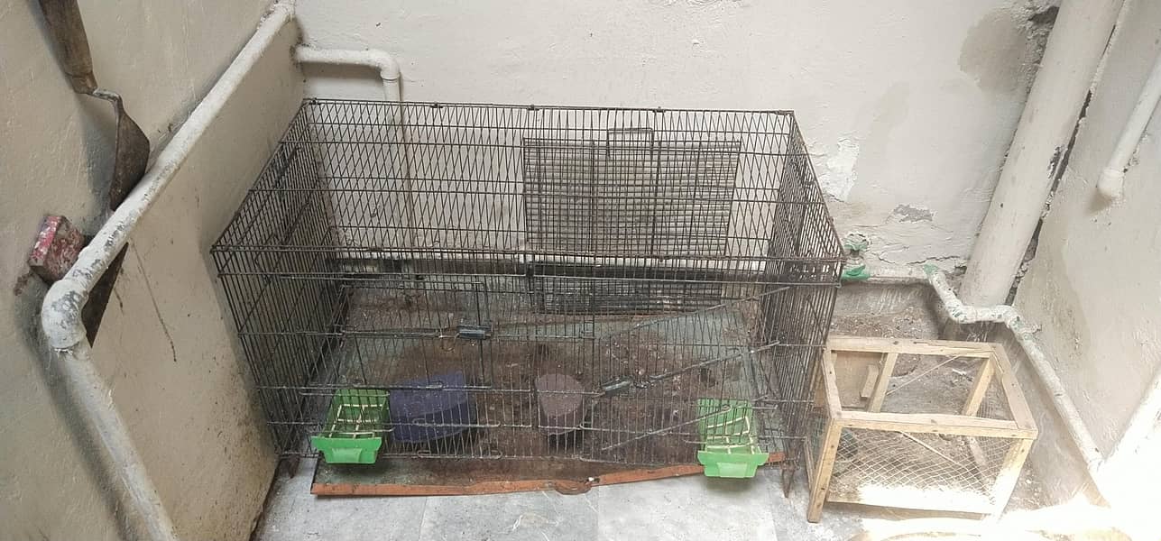 Cages 0