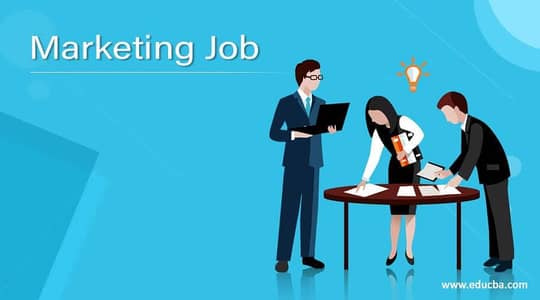 Female Marketing Executive
