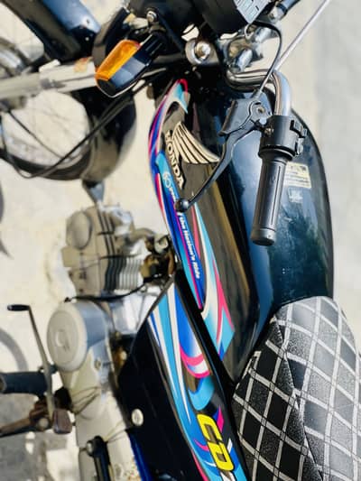Cd70 2024