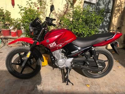 Ybr 125G   (03357994222)