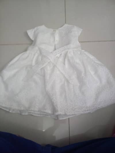white fairy frog 4 yrs