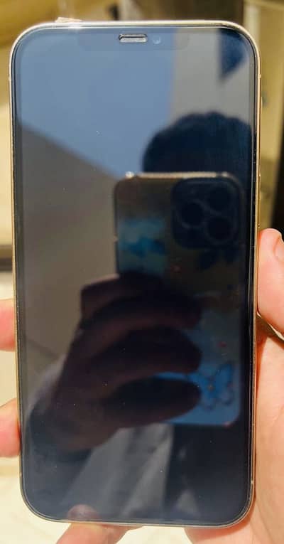 Apple iPhone 12 Pro Max 256 gb  pta aproved