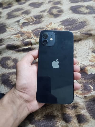 Apple iPhone 12