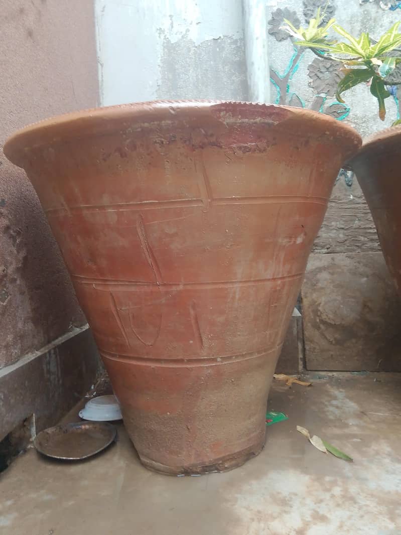 plants 0