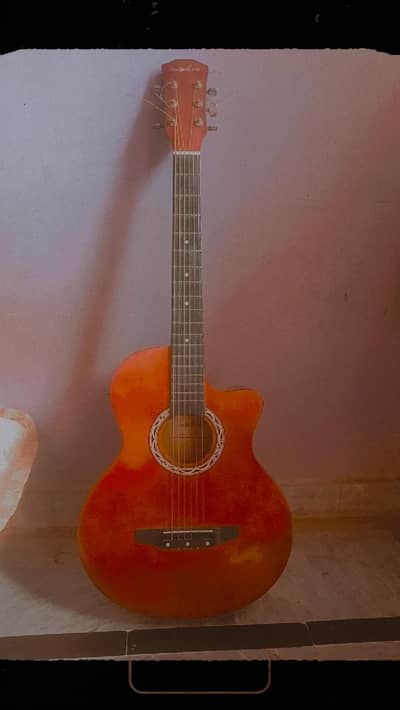 arjunt sale guitar 