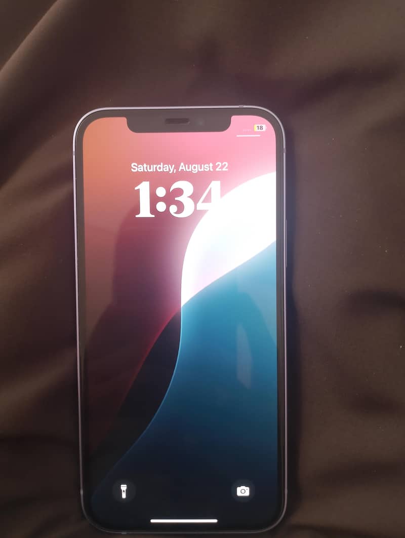 Apple iPhone 12 1