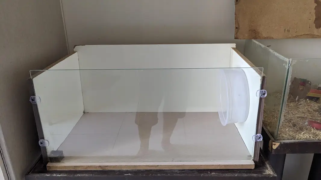 Hamster with enclosure and wheel — photo 3