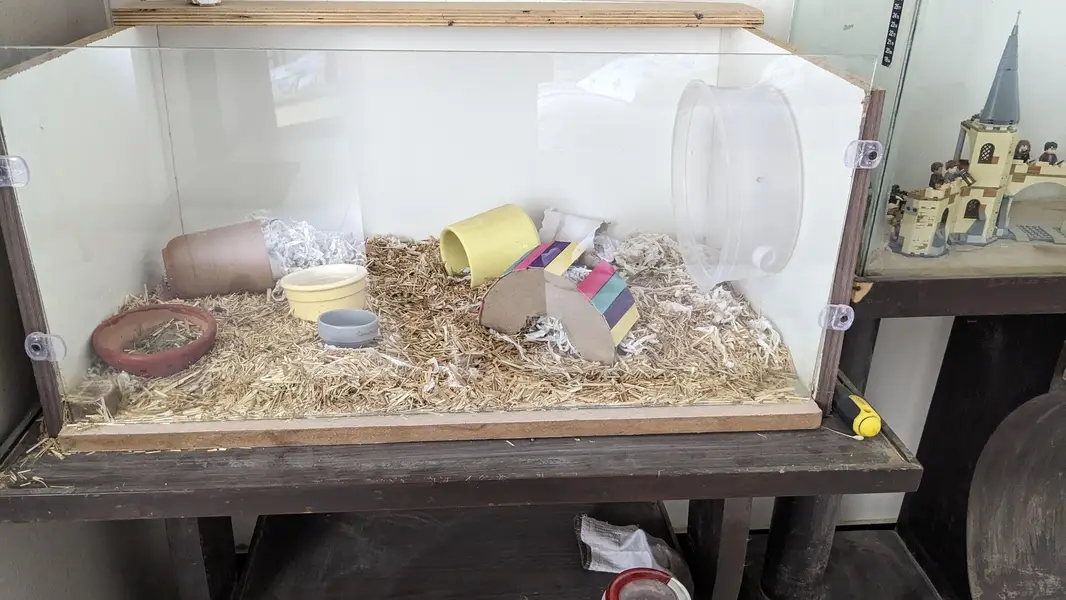 Hamster with enclosure and wheel — photo 4