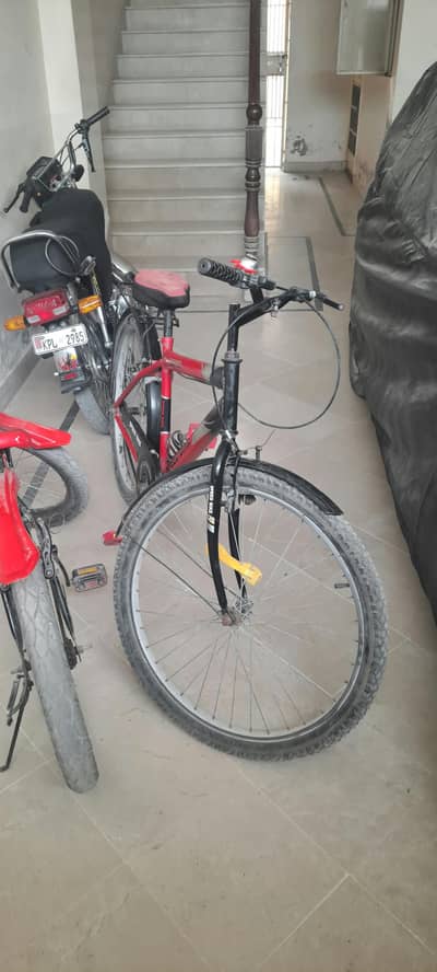 Speed bike at max size