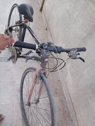 Bicycle imported