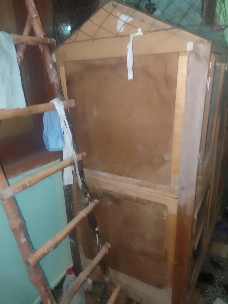 2 Wood Cages And Fancy Pigeons — photo 3