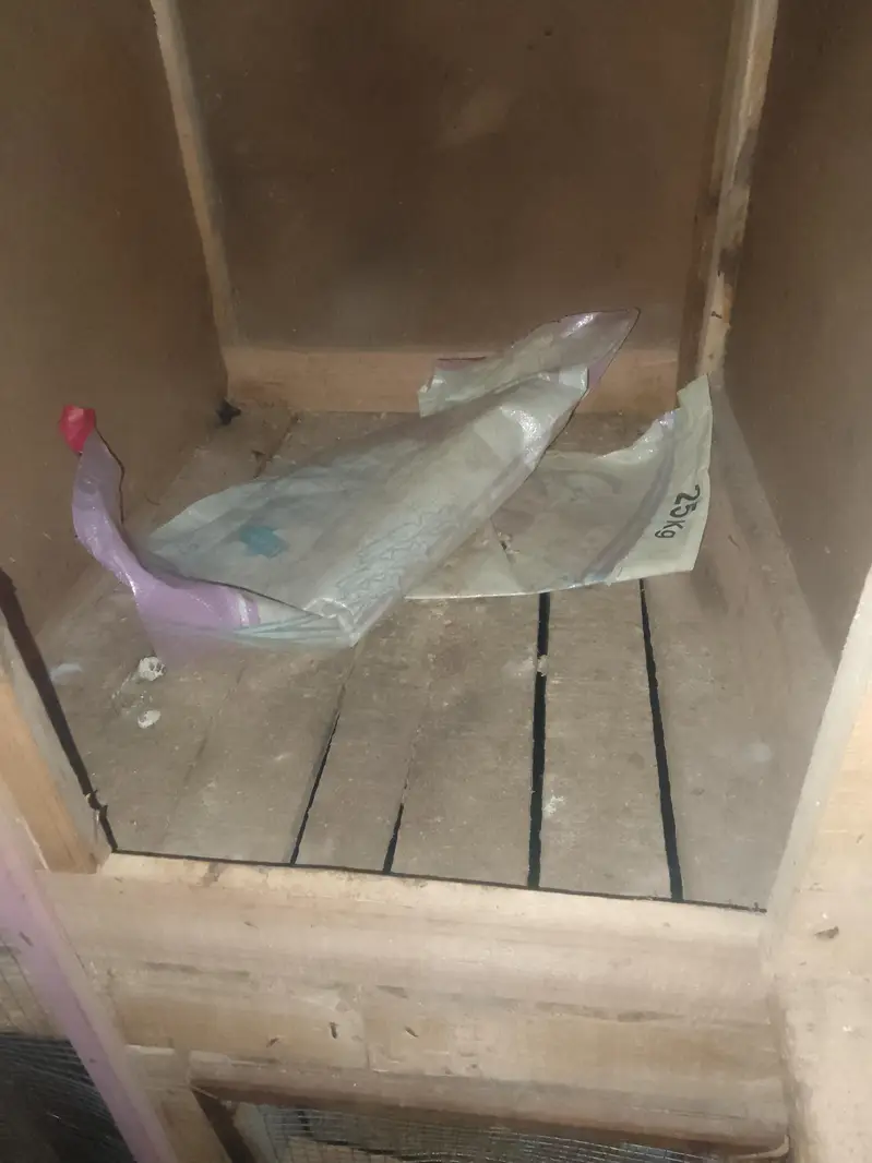 2 Wood Cages And Fancy Pigeons — photo 4