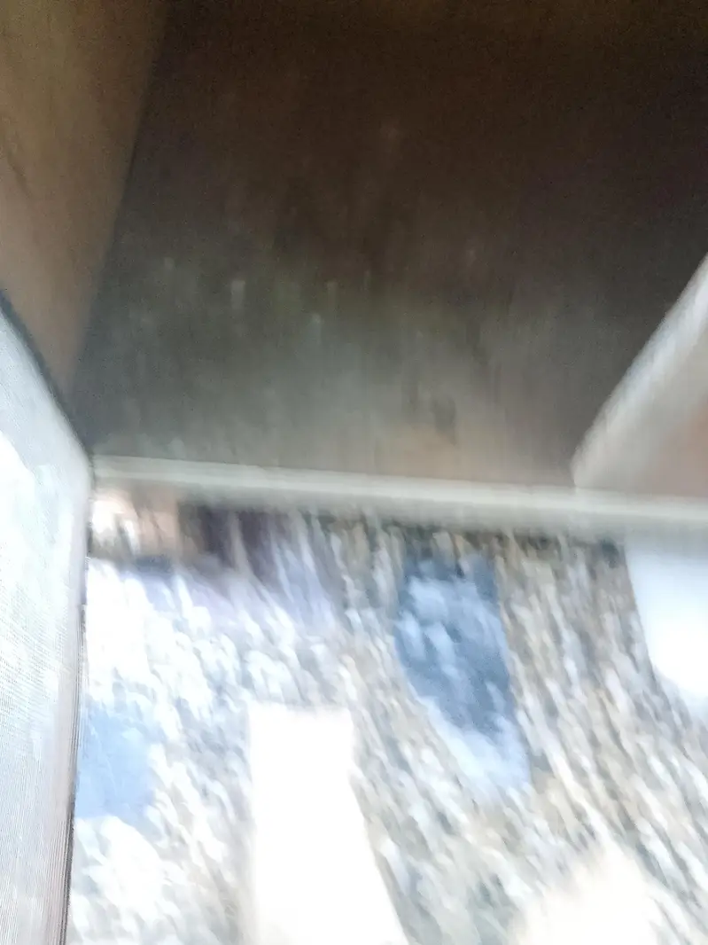 2 Wood Cages And Fancy Pigeons — photo 8