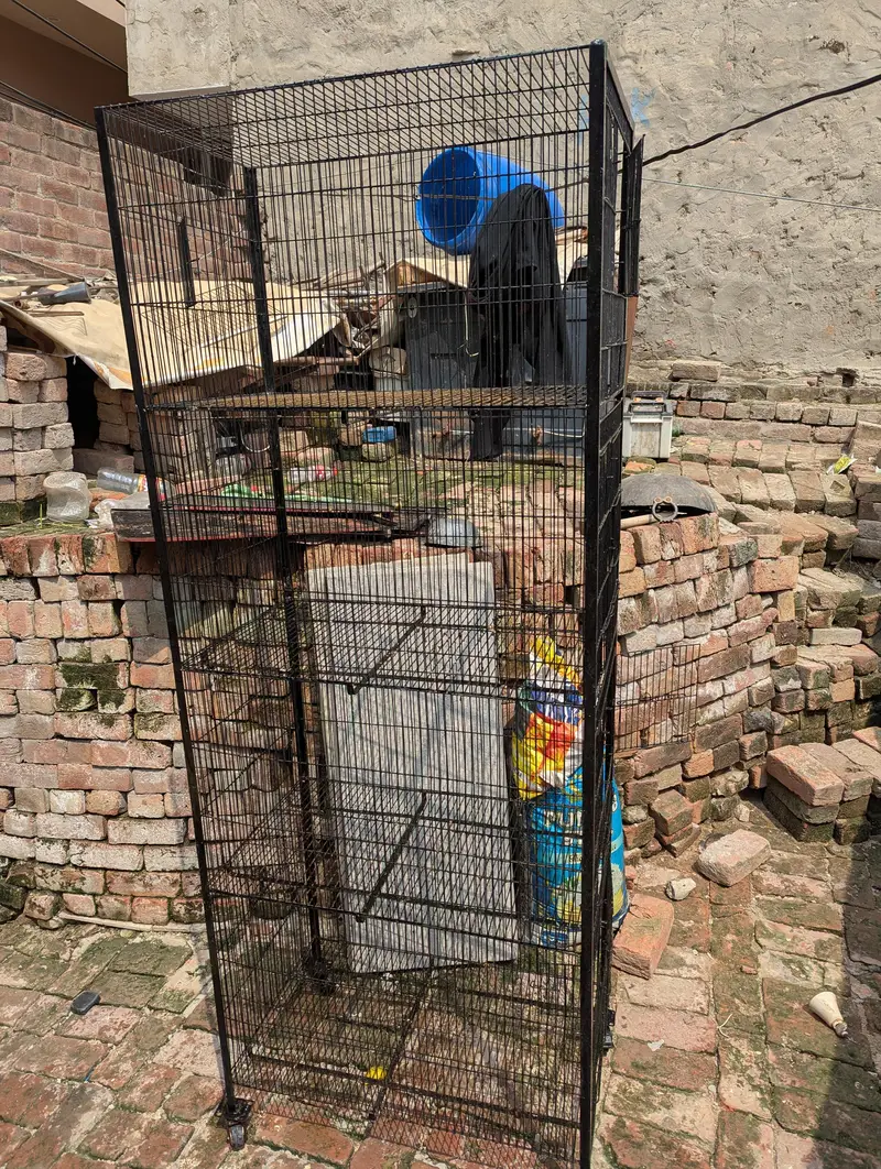 4 portion cage for sale good condition — photo 2