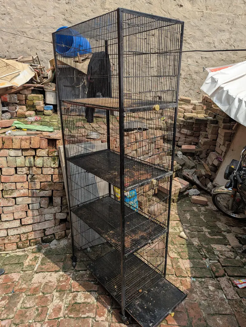 4 portion cage for sale good condition — photo 4