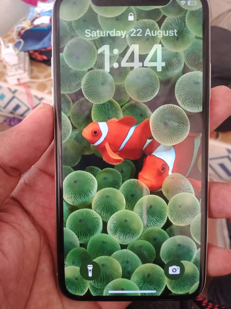 Apple iPhone XS 0