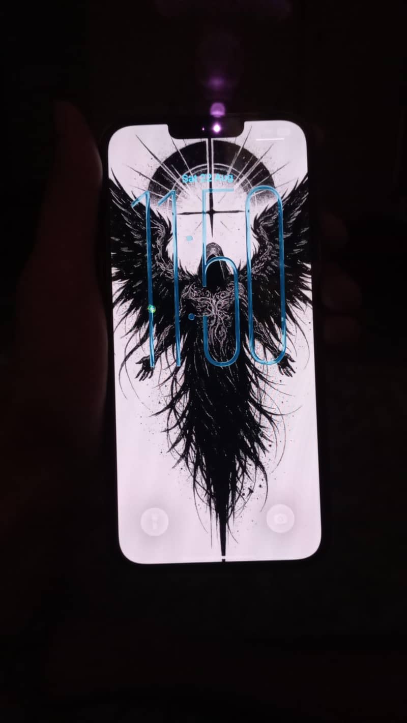 iPhone 13 Pro Max with box 3