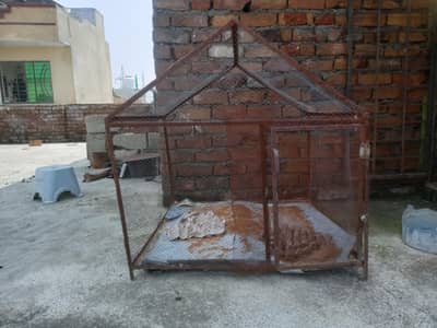 cage for sale