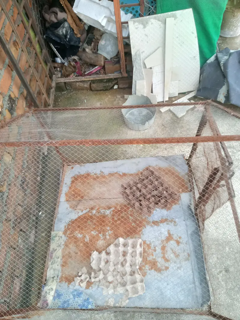cage for sale — photo 4