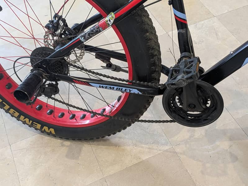 Bicycle imported 2