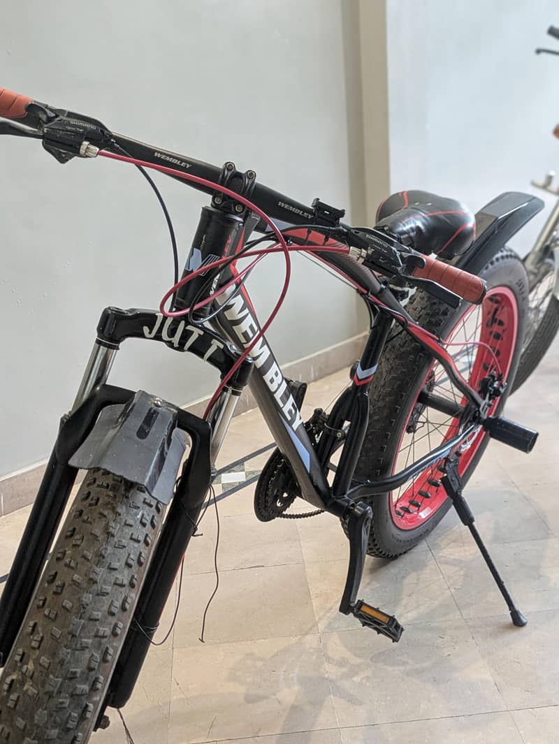 Bicycle imported 3