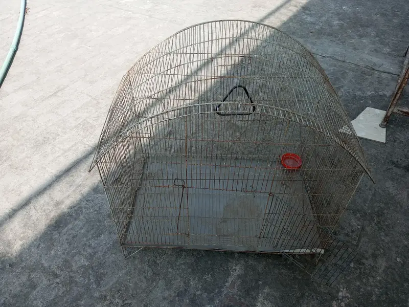 big size bird cage — photo 2
