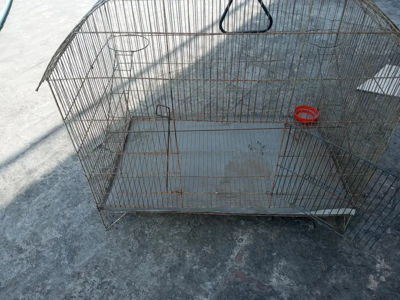 big size bird cage — photo 3